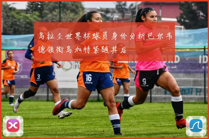 乌拉圭世界杯球员身价分析巴尔韦德领衔乌加特紧随其后